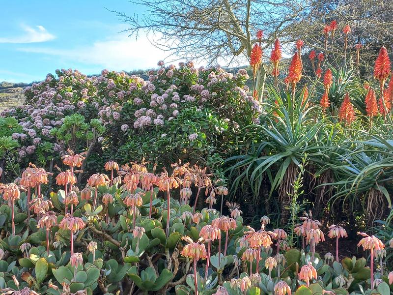 4 Bedroom Property for Sale in Piketberg Rural Western Cape